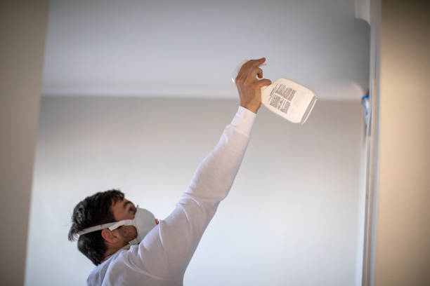 Best Crawl Space Mold Removal  in Pea Ridge, AR