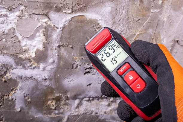 Best Emergency Mold Removal  in Pea Ridge, AR