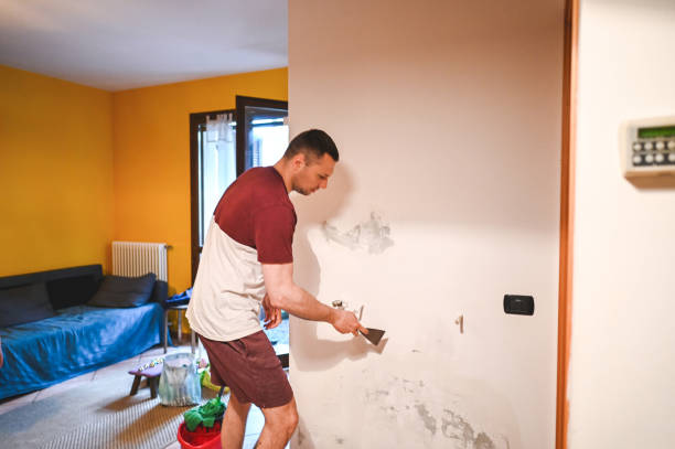 Best Water Damage Restoration  in Pea Ridge, AR